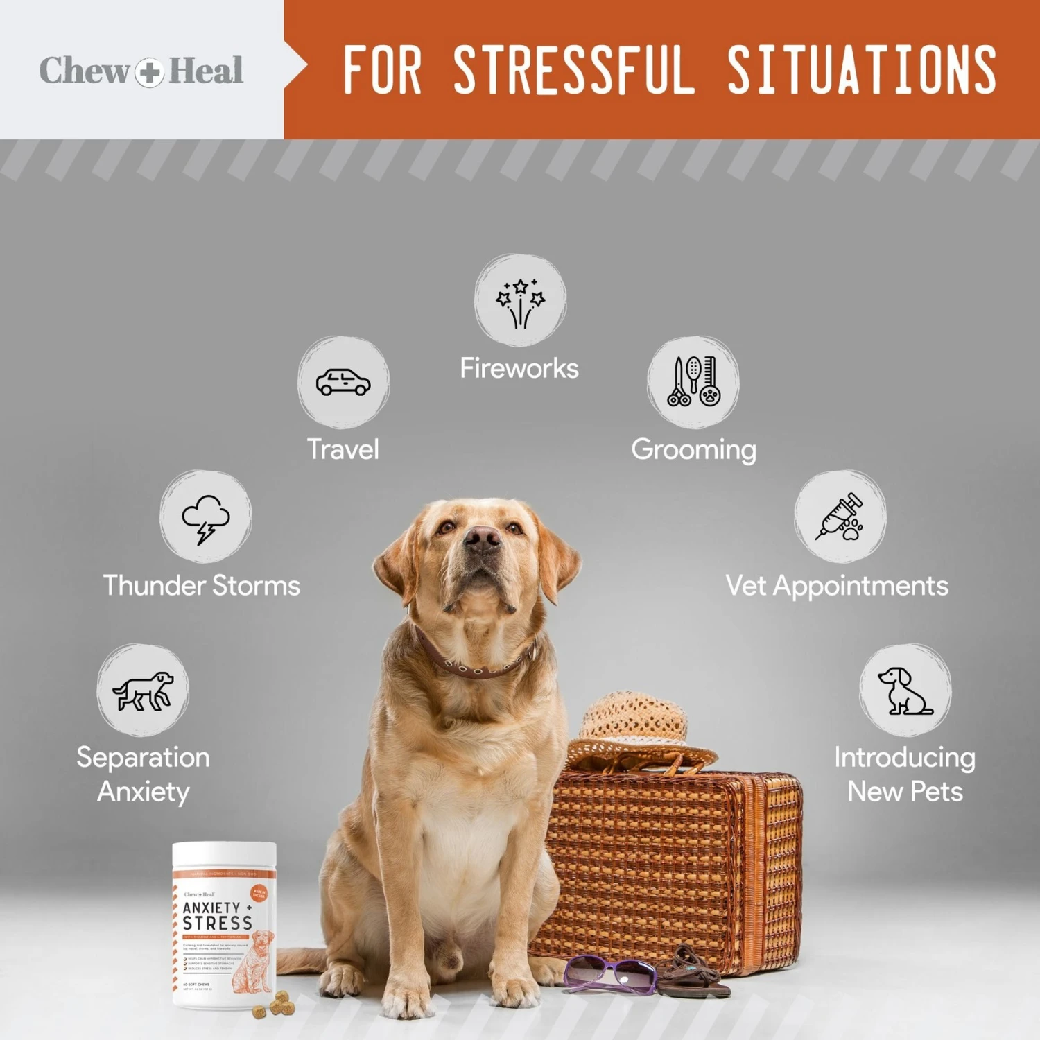 Chew + Heal Taster Trio Essential Supplements For Dogs 6 Chew + Heal Taster Trio Essential Supplements For Dogs - Image 6