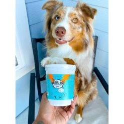 Bark Bistro Company Krill Oil Chews! Soft Chew Allergy & Skin & Coat Supplement For Dogs, 60 Count 12 Bark Bistro Company Krill Oil Chews! Soft Chew Allergy & Skin & Coat Supplement For Dogs, 60 Count -Pet Wellness 513302 PT4. AC SS1800 V1649276785