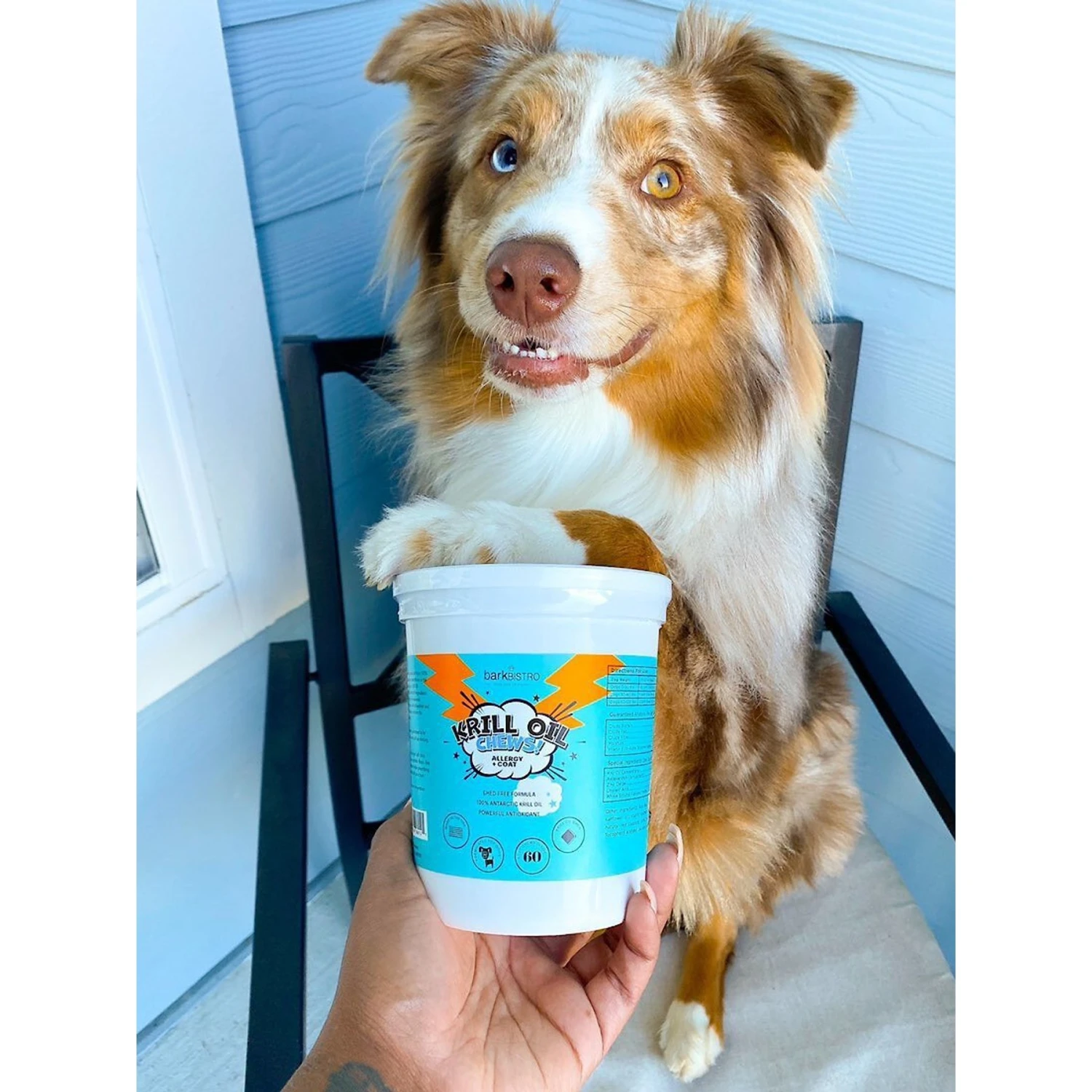 Bark Bistro Company Krill Oil Chews! Soft Chew Allergy & Skin & Coat Supplement For Dogs, 60 Count 5 Bark Bistro Company Krill Oil Chews! Soft Chew Allergy & Skin & Coat Supplement For Dogs, 60 Count - Image 5