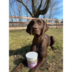 Bark Bistro Company Power Chews! Soft Chew Joint Supplement For Dogs, 60 Count -Pet Wellness 513350 PT3. AC SS1800 V1649276488