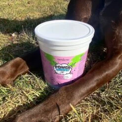 Bark Bistro Company Power Chews! Soft Chew Joint Supplement For Dogs, 60 Count -Pet Wellness 513350 PT4. AC SS1800 V1649275068