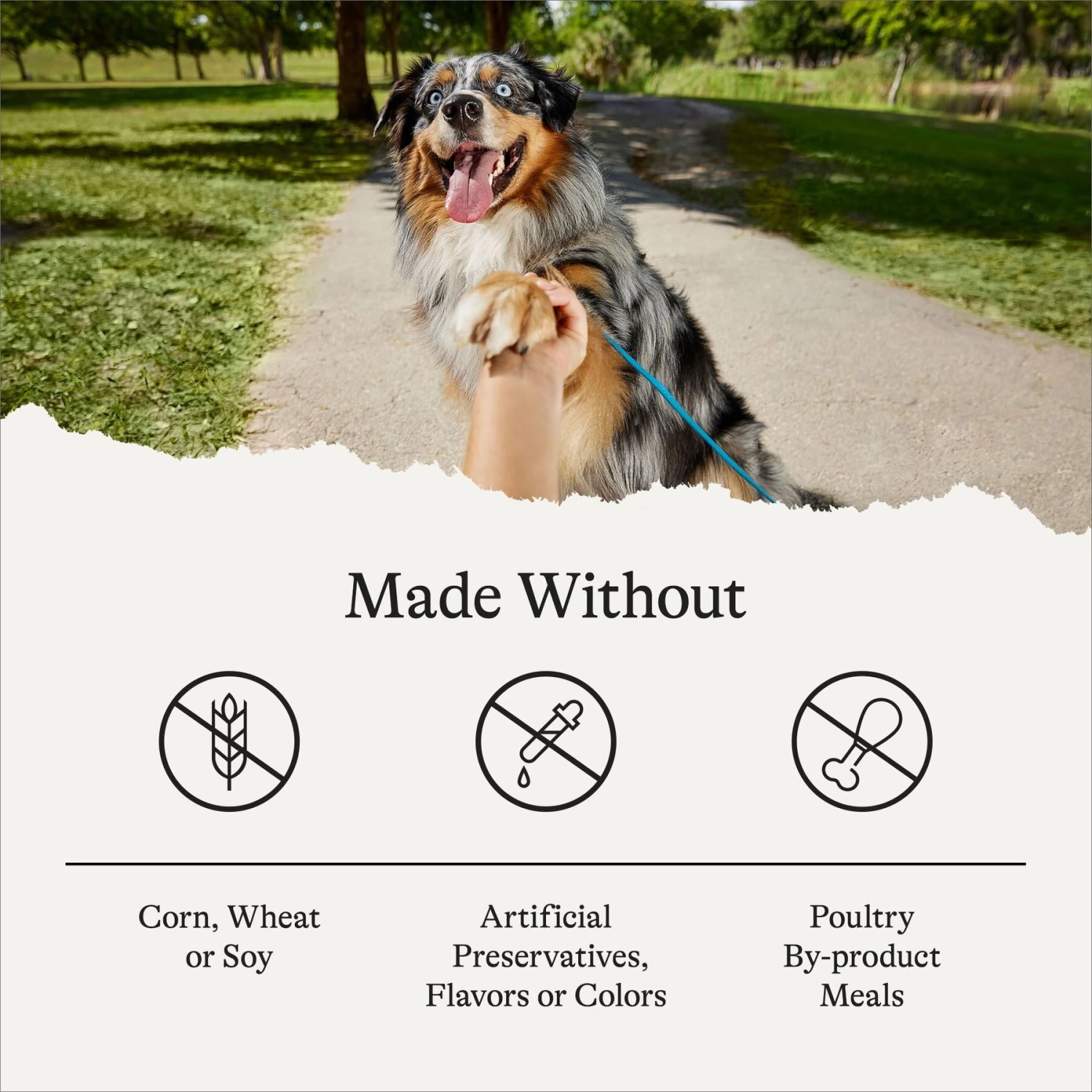 American Journey Poultry & Beef Variety Pack Canned Dog Food, 12.5-oz, Case Of 12 & American Journey Protein & Grains Chicken, Brown Rice & Vegetables Recipe Dry Dog Food 9 American Journey Poultry & Beef Variety Pack Canned Dog Food, 12.5-oz, Case Of 12 & American Journey Protein & Grains Chicken, Brown Rice & Vegetables Recipe Dry Dog Food - Image 9