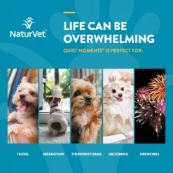 NaturVet Quiet Moments Chewable Tablets Calming Supplement For Dogs -Pet Wellness 51659 PT3. AC SS1800 V1698692562