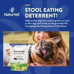 NaturVet Coprophagia Plus Breath Aid Soft Chews Coprophagia Supplement For Dogs 11 NaturVet Coprophagia Plus Breath Aid Soft Chews Coprophagia Supplement For Dogs -Pet Wellness 51671 PT3. AC SS1800 V1698693173