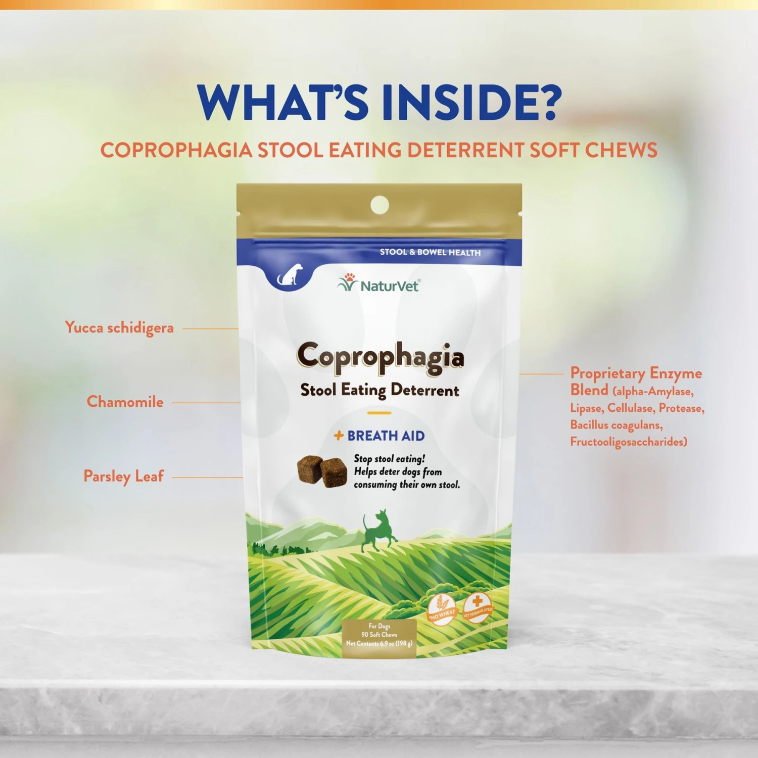 NaturVet Coprophagia Plus Breath Aid Soft Chews Coprophagia Supplement For Dogs 5 NaturVet Coprophagia Plus Breath Aid Soft Chews Coprophagia Supplement For Dogs - Image 5