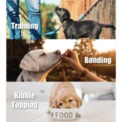 Whole Life Just One Ingredient Pure Chicken Breast Freeze-Dried Dog & Cat Treats -Pet Wellness 51689 PT2. AC SS1800 V1673989143