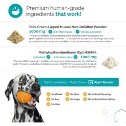 TopDog Health Flexerna Essentials Powder Joint Supplement For Dogs, 3-oz Jar -Pet Wellness 520062 PT5. AC SS1800 V1649704284