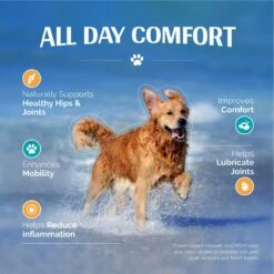 TopDog Health Flexerna Essentials Powder Joint Supplement For Dogs, 3-oz Jar -Pet Wellness 520062 PT8. AC SS1800 V1649722897