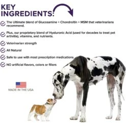 VetSmart Formulas Early Stage Chewable Tablet Joint Supplement For Dogs 9 VetSmart Formulas Early Stage Chewable Tablet Joint Supplement For Dogs -Pet Wellness 522014 PT2. AC SS1800 V1652469717