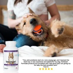 VetSmart Formulas Early Stage Chewable Tablet Joint Supplement For Dogs 13 VetSmart Formulas Early Stage Chewable Tablet Joint Supplement For Dogs -Pet Wellness 522014 PT6. AC SS1800 V1652470630