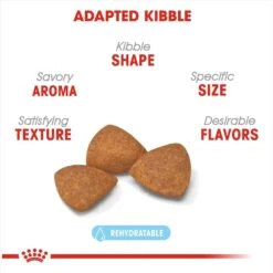 Royal Canin Size Health Nutrition X-Small Aging 12+ Dry Dog Food -Pet Wellness 52398 PT2. AC SS1800 V1697216176