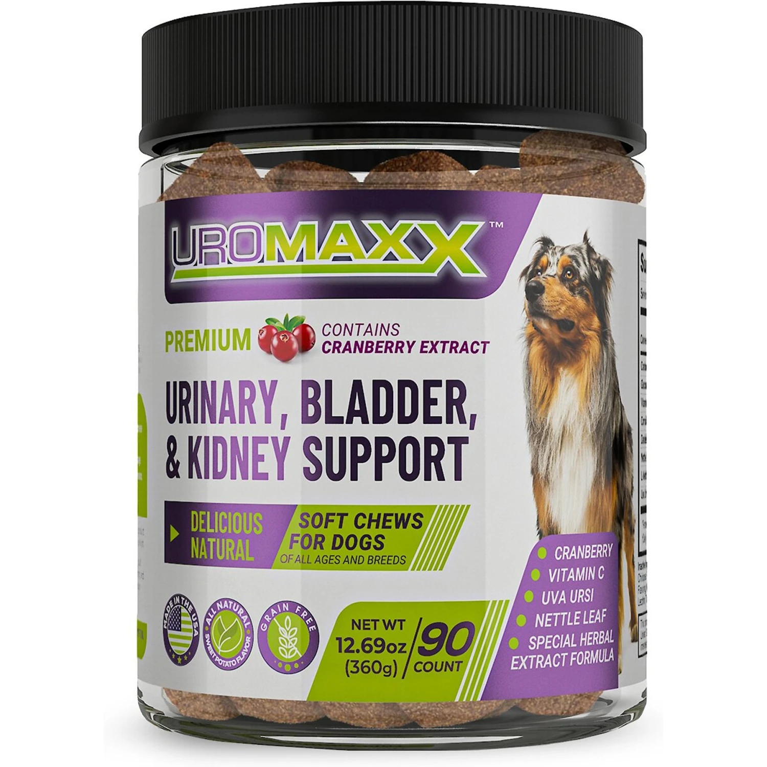 Animal Nutritional Products UroMAXX Chews Urinary Kidney & Bladder Formula Dog Supplement, 90 Count 1 Animal Nutritional Products UroMAXX Chews Urinary Kidney & Bladder Formula Dog Supplement, 90 Count