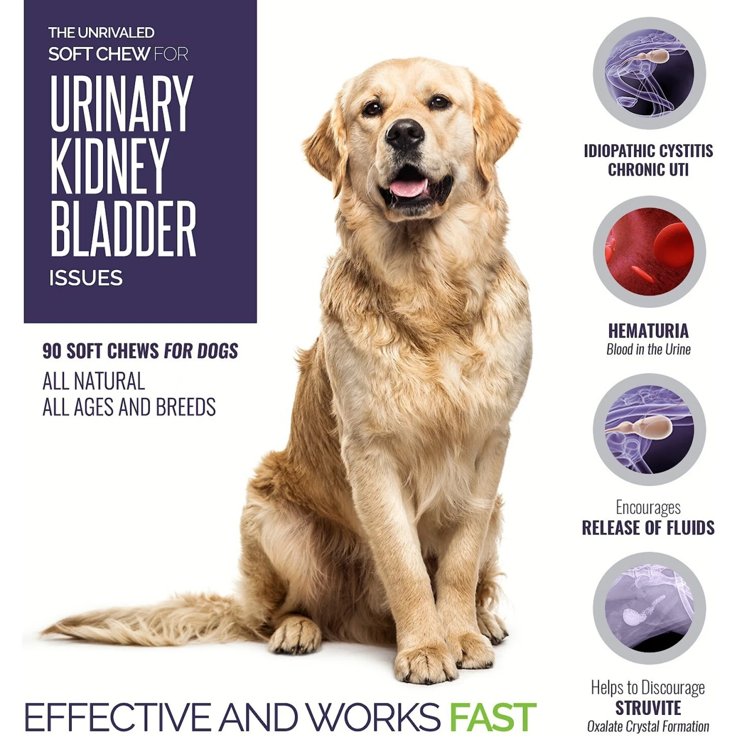 Animal Nutritional Products UroMAXX Chews Urinary Kidney & Bladder Formula Dog Supplement, 90 Count 2 Animal Nutritional Products UroMAXX Chews Urinary Kidney & Bladder Formula Dog Supplement, 90 Count - Image 2