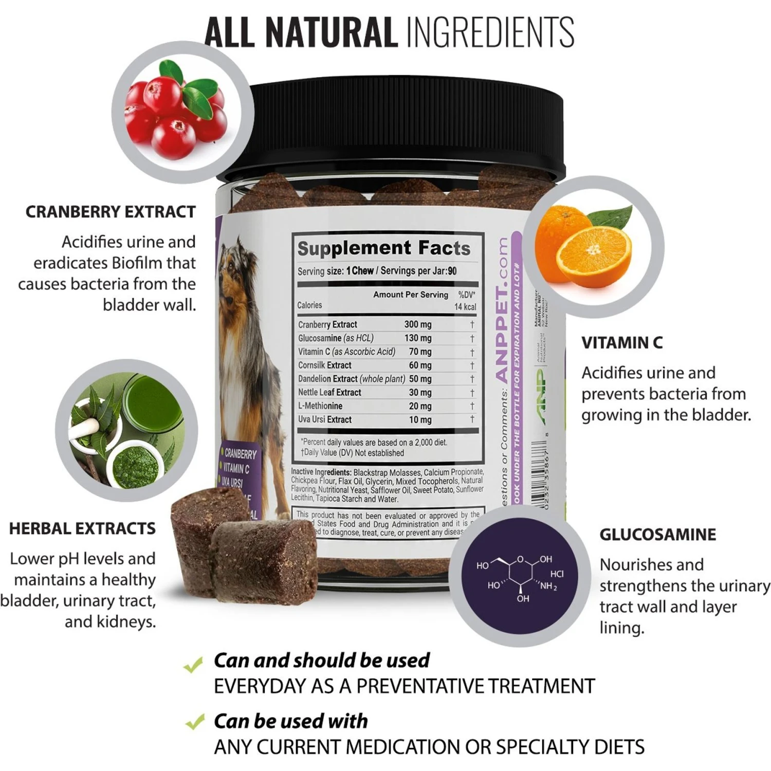 Animal Nutritional Products UroMAXX Chews Urinary Kidney & Bladder Formula Dog Supplement, 90 Count 3 Animal Nutritional Products UroMAXX Chews Urinary Kidney & Bladder Formula Dog Supplement, 90 Count - Image 3