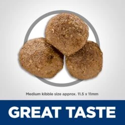 Hill's Science Diet Adult Lamb Meal & Brown Rice Recipe Dry Dog Food -Pet Wellness 52687 PT2. AC SS1800 V1598150475