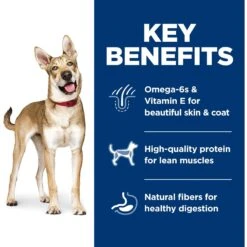 Hill's Science Diet Adult Lamb Meal & Brown Rice Recipe Dry Dog Food -Pet Wellness 52687 PT4. AC SS1800 V1598157402