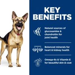 Hill's Science Diet Adult 6+ Large Breed Chicken Meal, Barley & Rice Dry Dog Food -Pet Wellness 52715 PT5. AC SS1800 V1605841915