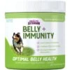Health Extension Belly + Immunity Powder Digestive & Immune Supplement For Dogs