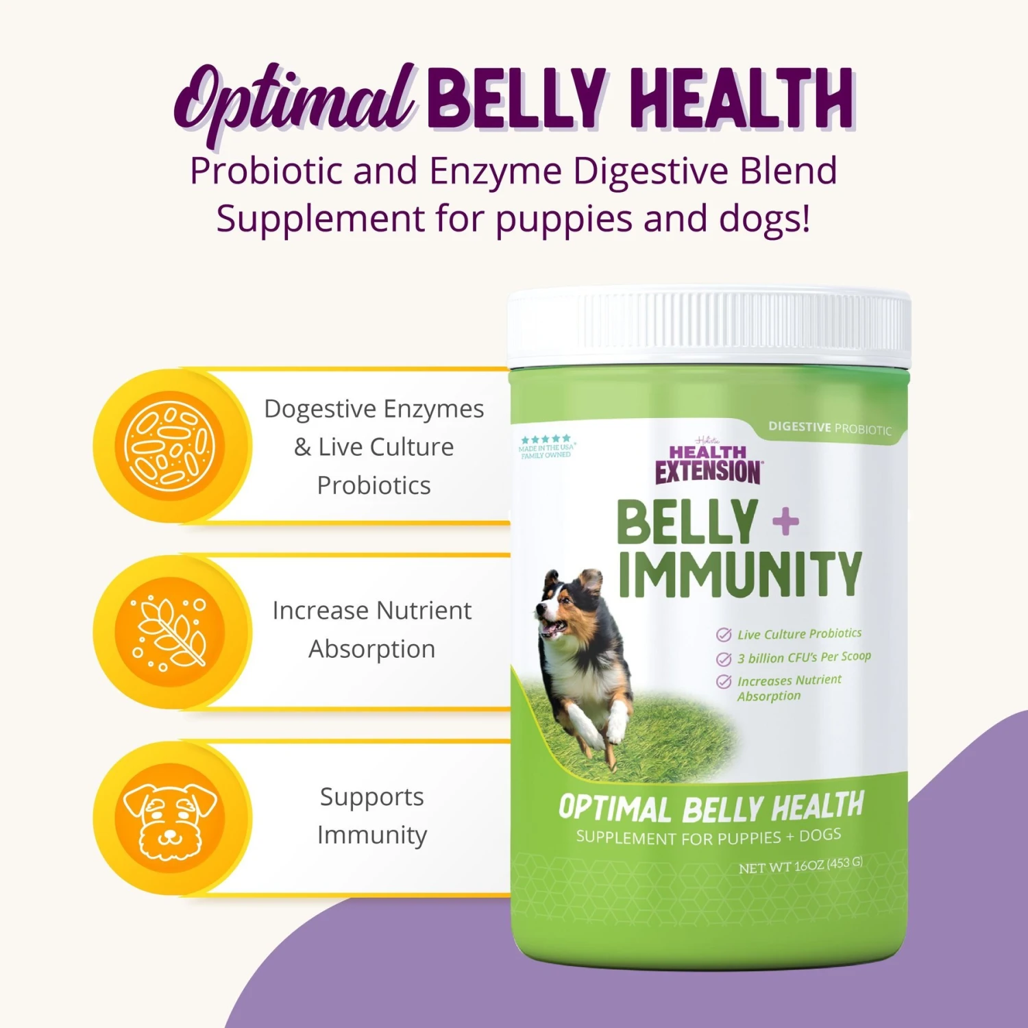 Health Extension Belly + Immunity Powder Digestive & Immune Supplement For Dogs 3 Health Extension Belly + Immunity Powder Digestive & Immune Supplement For Dogs - Image 3