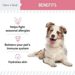 Chew + Heal Allergy Aid Soft Chew Allergy Supplement For Dogs -Pet Wellness 530974 PT2. AC SS1800 V1686591427