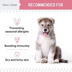 Chew + Heal Allergy Aid Soft Chew Allergy Supplement For Dogs -Pet Wellness 530974 PT4. AC SS1800 V1686592310