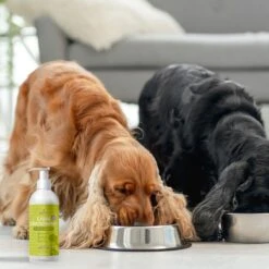 Zampa Liquid Glucosamine+ Bacon Flavor Liquid Joint Supplement For Dogs, 32-oz Bottle 9 Zampa Liquid Glucosamine+ Bacon Flavor Liquid Joint Supplement For Dogs, 32-oz Bottle -Pet Wellness 532238 PT2. AC SS1800 V1657658628