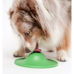 Stashios Soothing Saucer Calming Kit, 13.3-oz Box 5 Stashios Soothing Saucer Calming Kit, 13.3-oz Box -Pet Wellness 533550 PT2. AC SS1800 V1651099897