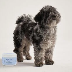 Bocce's Bakery Hip & Joint Soft Chew Joint Supplement For Dogs, 60 Count -Pet Wellness 534742 PT3. AC SS1800 V1657658788