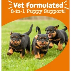 Zesty Paws Puppy 8-in-1 Chicken Flavor Soft Chews Multivitamin Supplement For Dogs -Pet Wellness 536974 PT4. AC SS1800 V1699024047