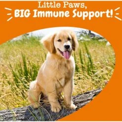 Zesty Paws Puppy Allergy & Immune Bites Lamb Flavor Soft Chews Allergies, Immune, & Gut Support Supplement For Dogs, 90 Count 12 Zesty Paws Puppy Allergy & Immune Bites Lamb Flavor Soft Chews Allergies, Immune, & Gut Support Supplement For Dogs, 90 Count -Pet Wellness 536990 PT3. AC SS1800 V1703623564