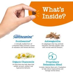 Zesty Paws Puppy Calming Bites Behavior Turkey Flavor Soft Chews Supplement For Dogs -Pet Wellness 537006 PT3. AC SS1800 V1699024046