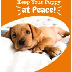 Zesty Paws Puppy Calming Bites Behavior Turkey Flavor Soft Chews Supplement For Dogs -Pet Wellness 537006 PT4. AC SS1800 V1699024048