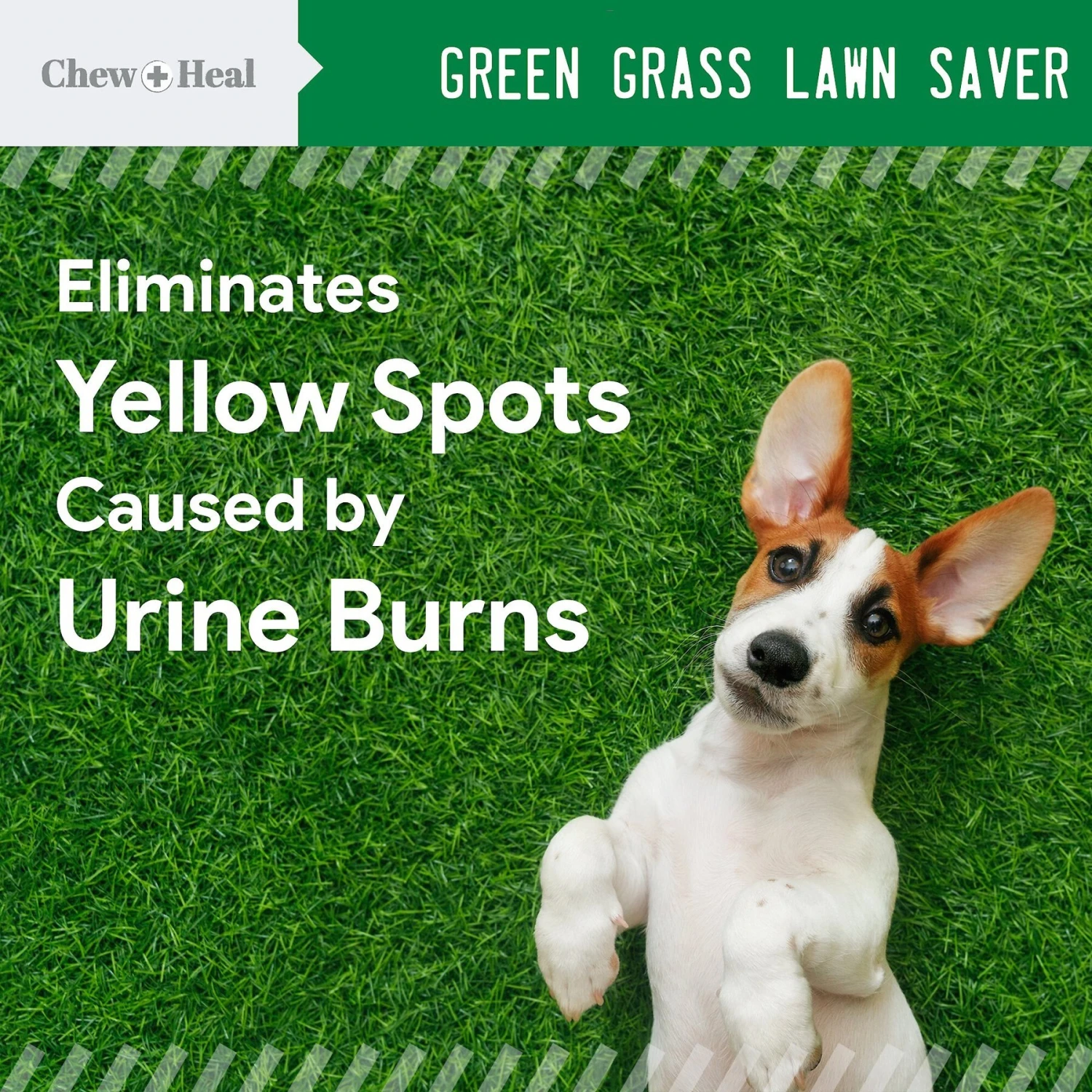 Chew + Heal Lawn Savor Soft Chew Lawn Protection Supplement For Dogs 2 Chew + Heal Lawn Savor Soft Chew Lawn Protection Supplement For Dogs - Image 2