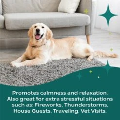 BSerene Calming Peanut Butter Dog Chew Supplement, 5-oz Bag, 45 Count -Pet Wellness 539678 PT2. AC SS1800 V1652467298