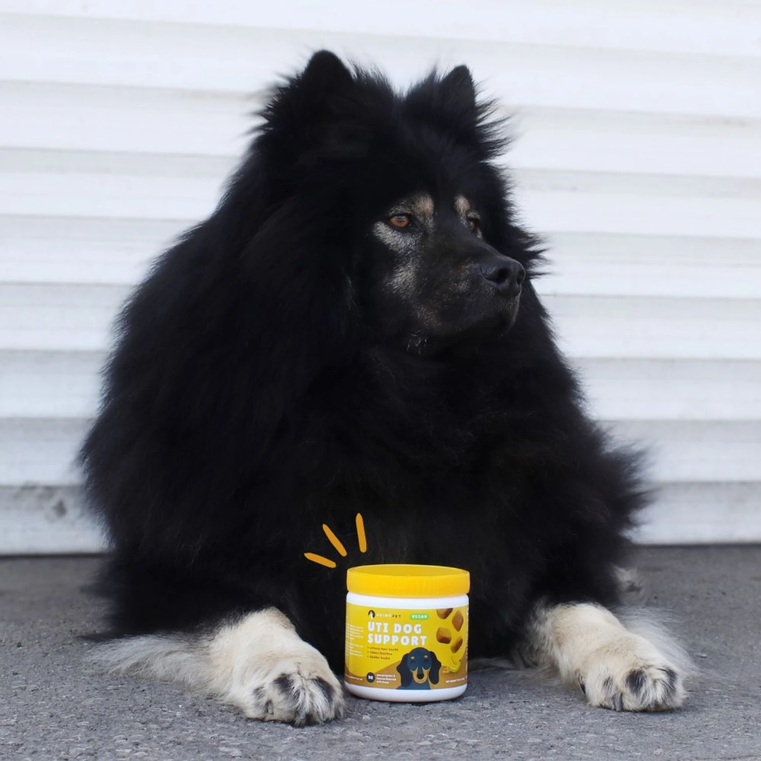 PointPet Vegan UT Support Banana & Peanut Butter Flavored Dog Soft Chews Supplement, 90 Count 7 PointPet Vegan UT Support Banana & Peanut Butter Flavored Dog Soft Chews Supplement, 90 Count - Image 7