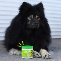 PointPet Anti-Itch Support Peanut Butter Flavored Dog Soft Chews Supplement, 90 Count 10 PointPet Anti-Itch Support Peanut Butter Flavored Dog Soft Chews Supplement, 90 Count -Pet Wellness 541702 PT2. AC SS1800 V1669391002