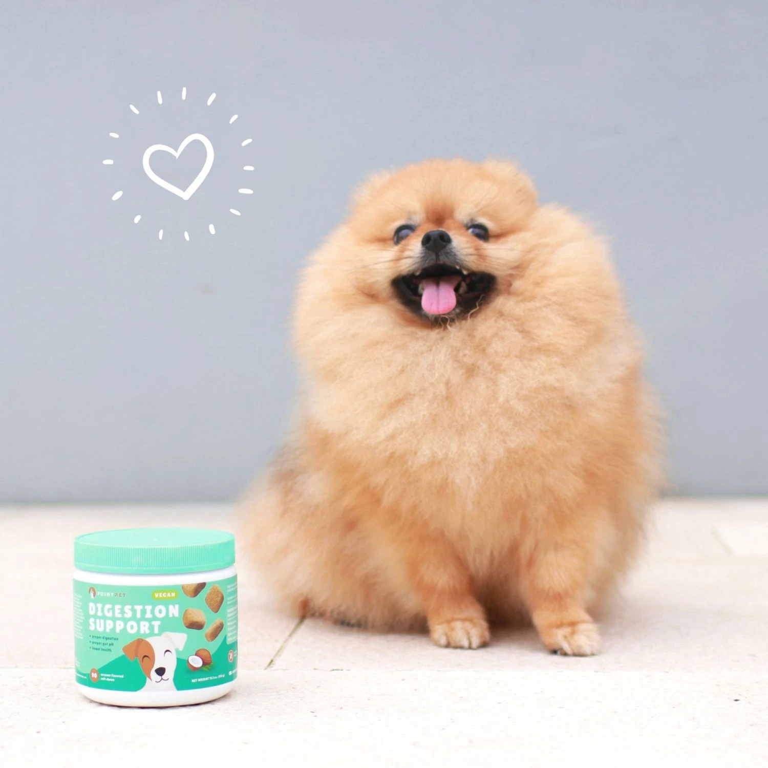 PointPet Vegan Digestive Support Coconut Flavored Dog Soft Chews Supplement, 90 Count 2 PointPet Vegan Digestive Support Coconut Flavored Dog Soft Chews Supplement, 90 Count - Image 2