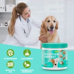 PointPet Vegan Digestive Support Coconut Flavored Dog Soft Chews Supplement, 90 Count 11 PointPet Vegan Digestive Support Coconut Flavored Dog Soft Chews Supplement, 90 Count -Pet Wellness 541718 PT2. AC SS1800 V1669393163