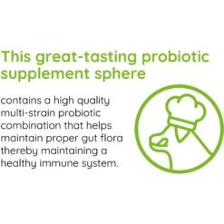 OZLOO Multi Immunity Pork Flavored Chewable Tablet Supplement For Large Adult Dogs, 60 Count -Pet Wellness 542662 PT3. AC SS1800 V1658198592