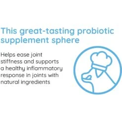 OZLOO Hip & Joint Pork Flavored Chewable Tablet Supplement For Large Adult Dogs, 30 Count -Pet Wellness 542694 PT2. AC SS1800 V1658197302