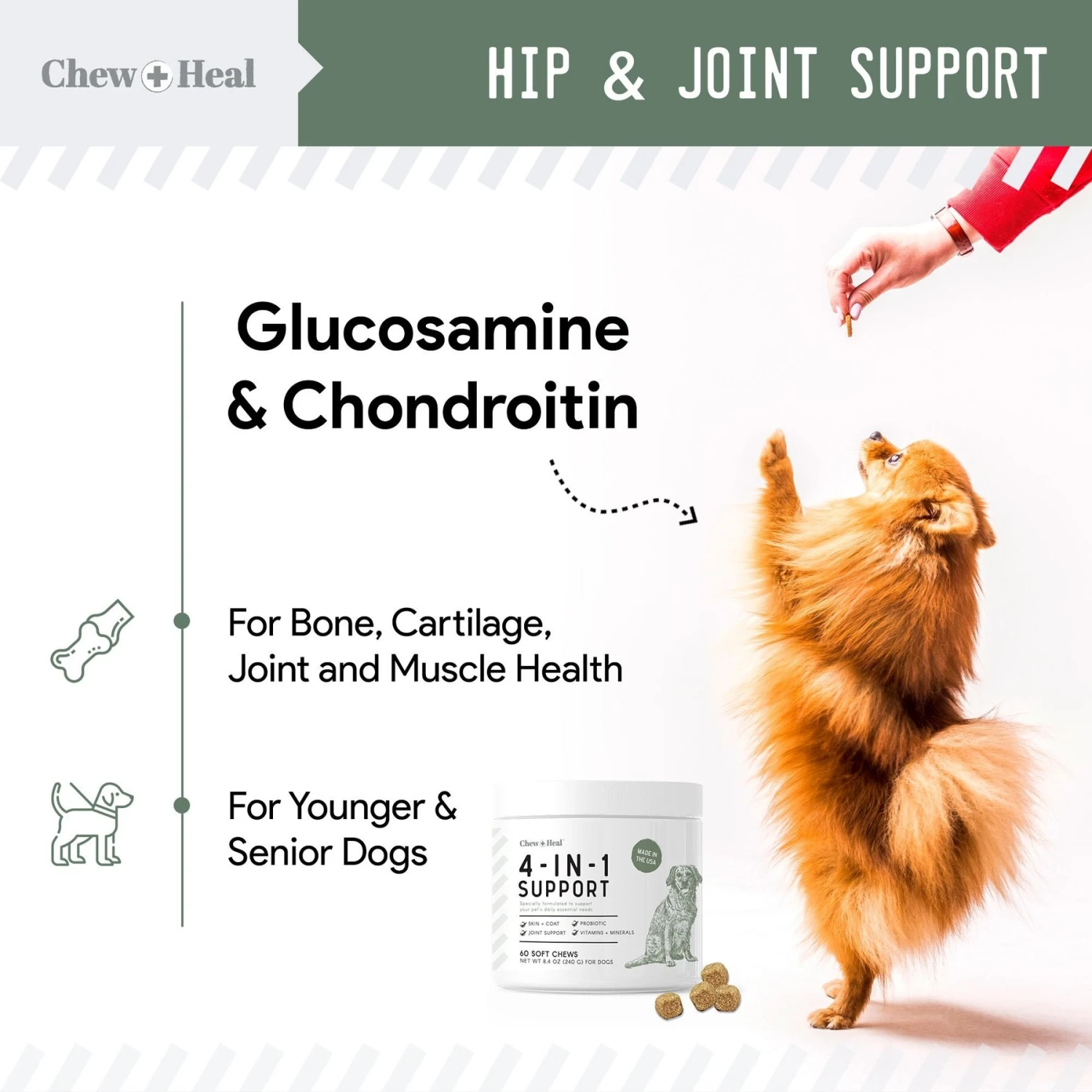 Chew + Heal 4-IN-1 Support Chews Dog Vitamin Supplement & Chew + Heal Omega Skin + Coat Chews Dog Vitamin Supplement, 120 Count 7 Chew + Heal 4-IN-1 Support Chews Dog Vitamin Supplement & Chew + Heal Omega Skin + Coat Chews Dog Vitamin Supplement, 120 Count - Image 7