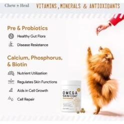 Chew + Heal 4-IN-1 Support Chews Dog Vitamin Supplement & Chew + Heal Omega Skin + Coat Chews Dog Vitamin Supplement, 120 Count 16 Chew + Heal 4-IN-1 Support Chews Dog Vitamin Supplement & Chew + Heal Omega Skin + Coat Chews Dog Vitamin Supplement, 120 Count -Pet Wellness 542726 PT7. AC SS1800 V1657659025