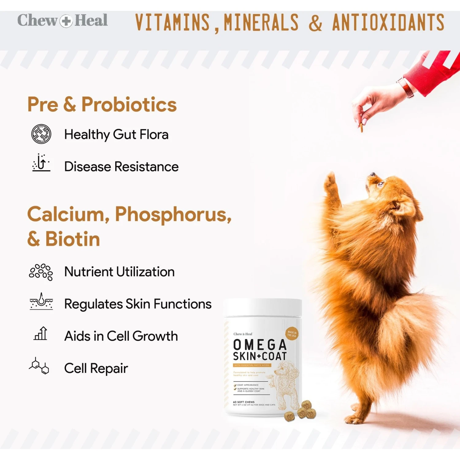 Chew + Heal 4-IN-1 Support Chews Dog Vitamin Supplement & Chew + Heal Omega Skin + Coat Chews Dog Vitamin Supplement, 120 Count 8 Chew + Heal 4-IN-1 Support Chews Dog Vitamin Supplement & Chew + Heal Omega Skin + Coat Chews Dog Vitamin Supplement, 120 Count - Image 8