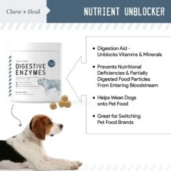 Chew + Heal 4-IN-1 Support Chews Dog Supplement & Chew + Heal Digestive Enzymes Chews Dog Supplement, 240 Count -Pet Wellness 542742 PT3. AC SS1800 V1657659025