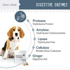 Chew + Heal 4-IN-1 Support Chews Dog Supplement & Chew + Heal Digestive Enzymes Chews Dog Supplement, 240 Count -Pet Wellness 542742 PT5. AC SS1800 V1653578796