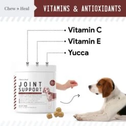 Chew + Heal 4-IN-1 Support Chews Dog Supplement & Chew + Heal Joint Support Chews Dog Supplement, 240 Count -Pet Wellness 542758 PT3. AC SS1800 V1657733314