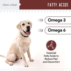 Chew + Heal 4-IN-1 Support Chews Dog Supplement & Chew + Heal Joint Support Chews Dog Supplement, 240 Count -Pet Wellness 542758 PT7. AC SS1800 V1657659026