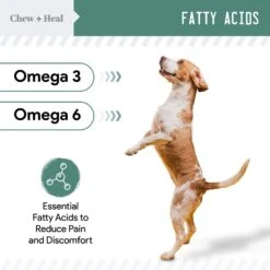 Chew + Heal 4-IN-1 Support Chews Dog Supplement & Chew + Heal Senior Hip + Joint Chews Dog Supplement, 240 Count 15 Chew + Heal 4-IN-1 Support Chews Dog Supplement & Chew + Heal Senior Hip + Joint Chews Dog Supplement, 240 Count -Pet Wellness 542774 PT6. AC SS1800 V1657733626