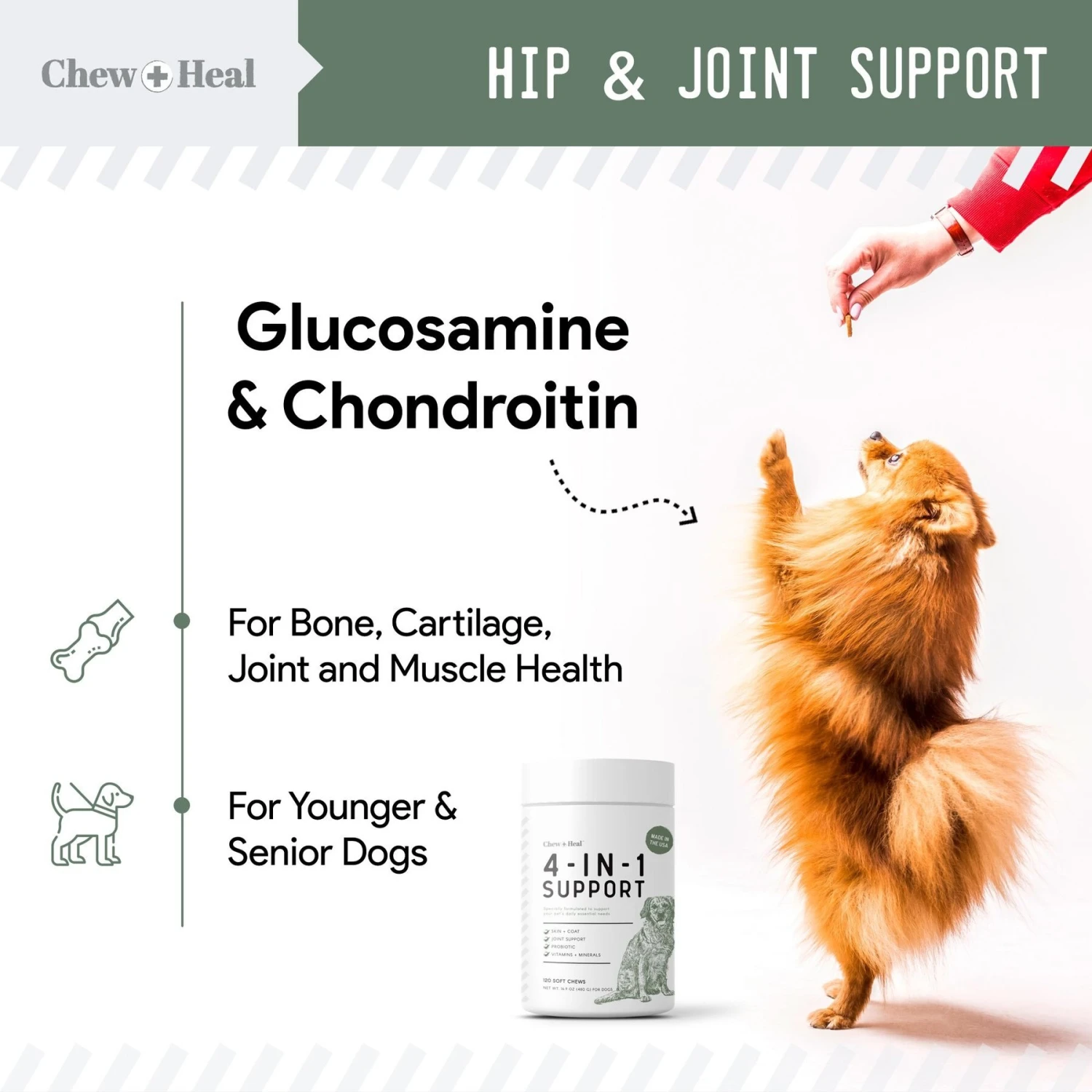 Chew + Heal 4-IN-1 Support Chews Dog Supplement & Chew + Heal Senior Hip + Joint Chews Dog Supplement, 240 Count 8 Chew + Heal 4-IN-1 Support Chews Dog Supplement & Chew + Heal Senior Hip + Joint Chews Dog Supplement, 240 Count - Image 8