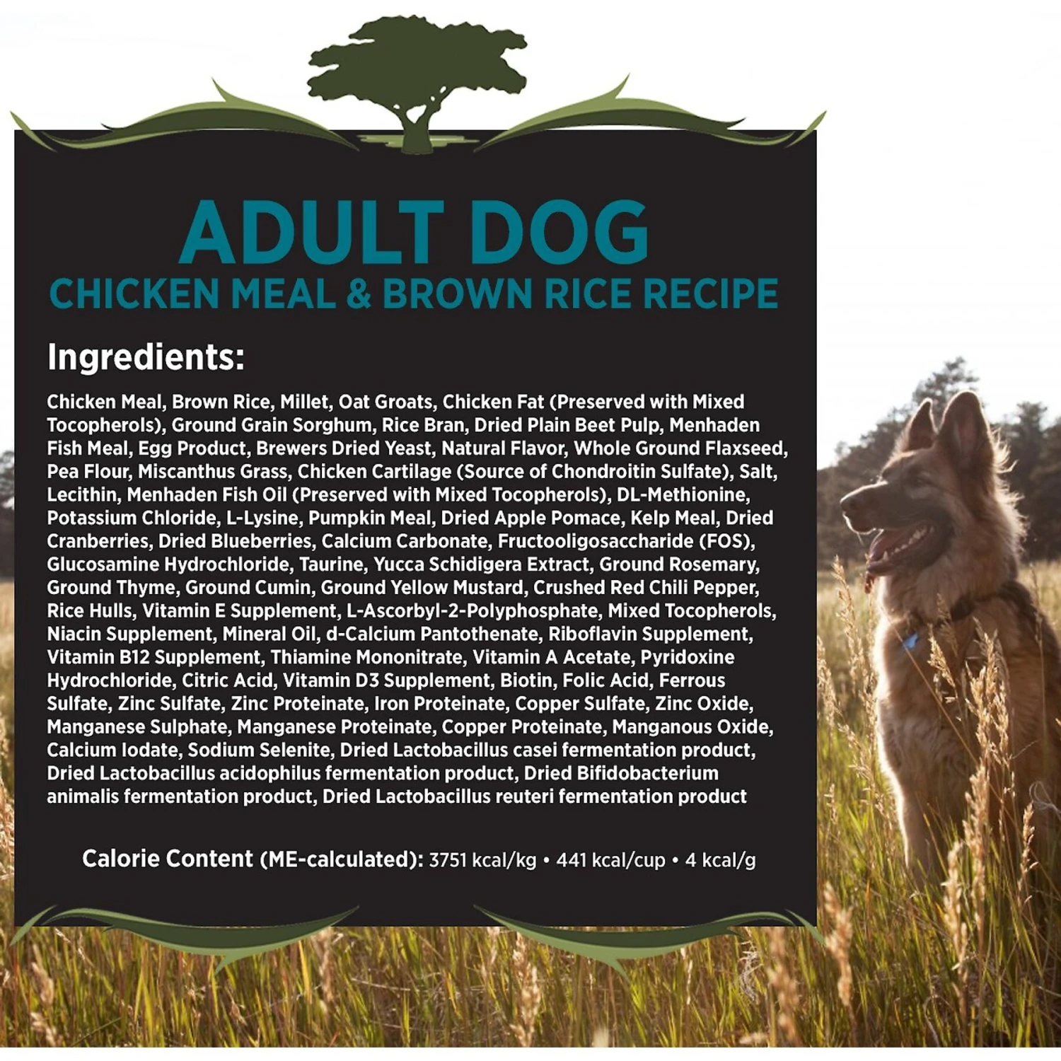 Blackwood Chicken Meal & Rice Recipe Everyday Diet Adult Dry Dog Food 2 Blackwood Chicken Meal & Rice Recipe Everyday Diet Adult Dry Dog Food - Image 2